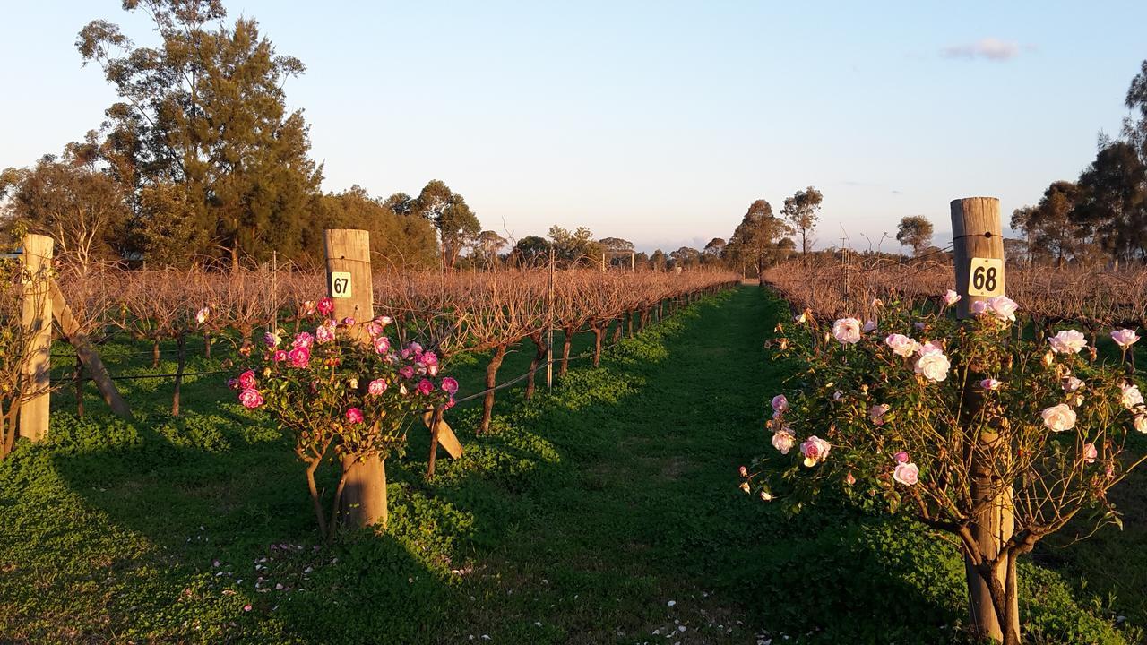 Emma'S Cottage Vineyard Ловдейл Екстериор снимка