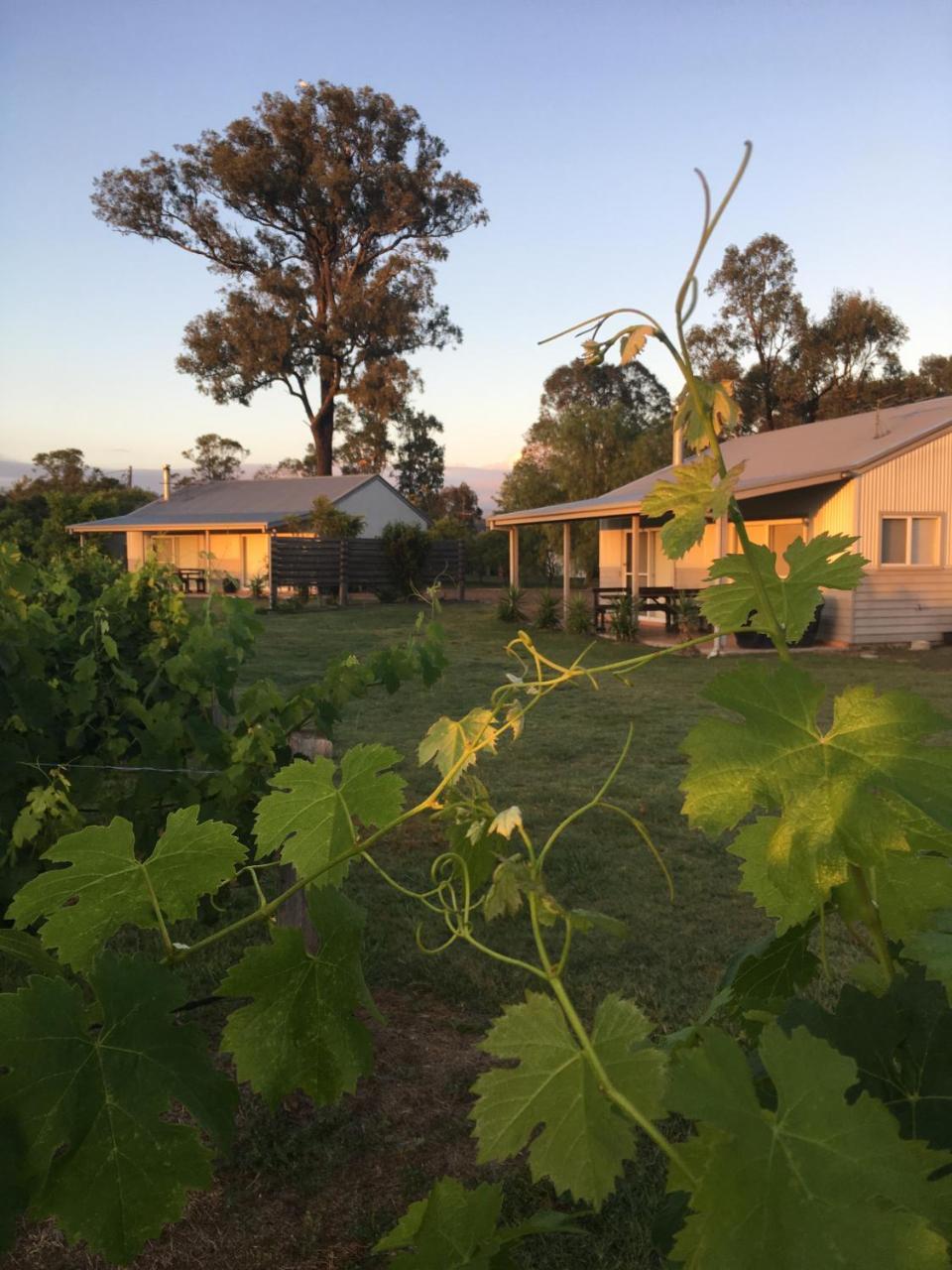 Emma'S Cottage Vineyard Ловдейл Екстериор снимка